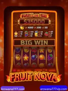 Explorando o Excitante Mundo de FruitNova: Um Guia Completo
